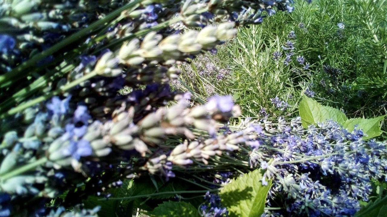 Soba Lavanda 클라도보 외부 사진
